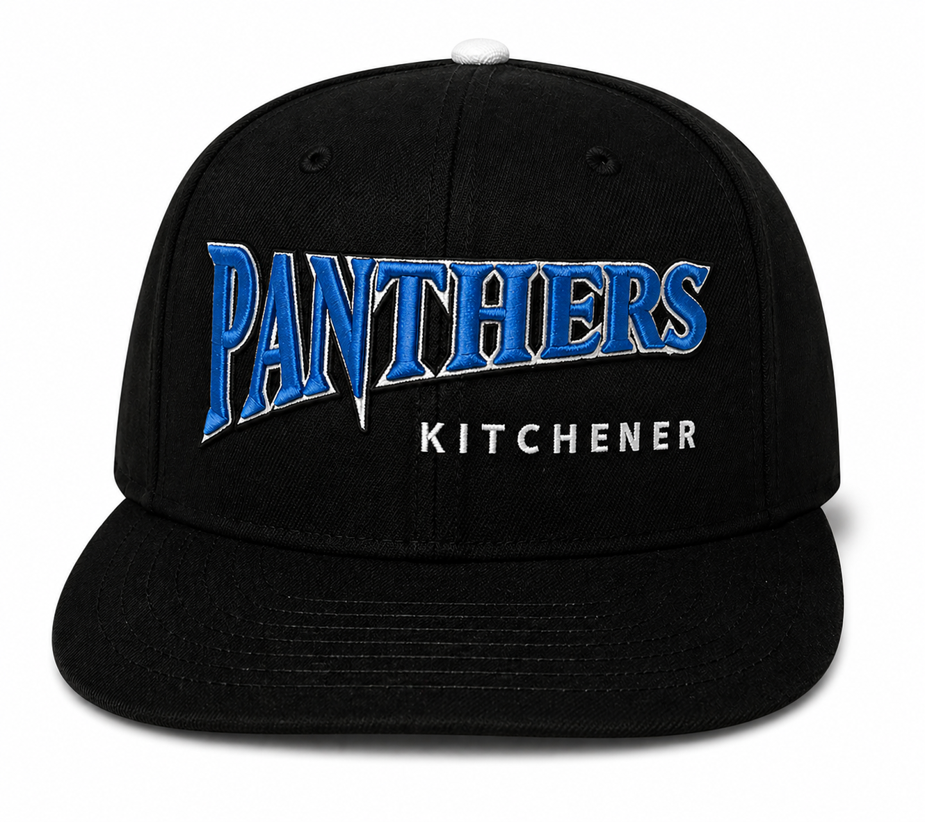 Panthers Script Logo Fitted Hat